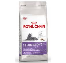 Royal Canin Kedi Mamasi