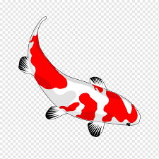 Check spelling or type a new query. Kolam Koi Ikan Mas Koi Akuarium Yang Lain Kartun Png Pngwing