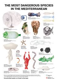 The Most Dangerous Sea Creatures In The World Are On This Graphic Plastic Pollution Ocean Pollution Pollution