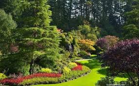 Check spelling or type a new query. 14 Beautiful Pine Tree Landscaping Ideas Designs For Your Yard