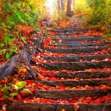 Picsart | picsart is the #1 photo & video editing app and creative community. 47 Picsart Wallpaper On Wallpapersafari