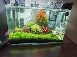10 model aquarium mini terbaik dan unik. Aquarium Tank 45cm Fullset Pet Supplies Pet Accessories On Carousell