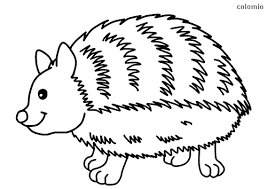 Animal coloring pages the forgotten art of coloring is making a comeback. Forest Animals Coloring Pages Free Printable Forest Animals Coloring Sheets
