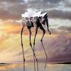 Frasi di salvador dalí scopri citazioni e frasi celebri interessanti e verificate · salvador dalí, all'anagrafe quello di essere salvador dalí. 3
