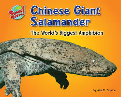 Maybe you would like to learn more about one of these? Chinese Giant Salamander Bearport Publishing