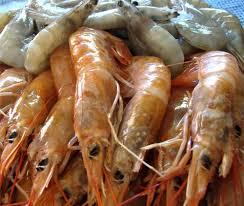 Lavamos muy bien las gambas bajo el grifo. Como Cocer Langostinos Y Gambas Gastronomia Cia