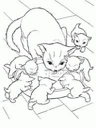 Welke dieren zie jij allemaal? Kleurprenten Poes Topkleurplaat Nl