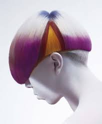 台灣之光 goldwell歌薇color zoom躍型耀色大賞七連霸 coole frisuren haar ideen haare