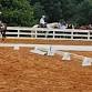 LCHA Champion Dressage Show event image
