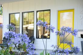Check spelling or type a new query. Baseboards Doors And Trim Should You Paint Them White