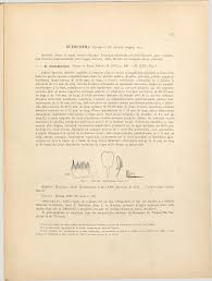 Image result for Eriosema lebrunii