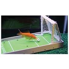 R2 Fish School Training Kit Findgift Com Goldfish Animal Antics Animals