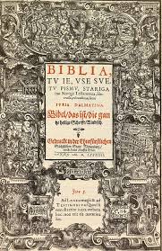 Image result for dalmatin