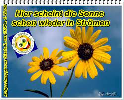 5 euro gutschein bücher de. Heute Scheint Die Sonne In Stromen Die Kunst Der Stunde