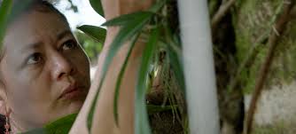 Anonymous Was A Woman and New York Foundation for the Arts (NYFA) Announce  2024 Environmental Art Grants Recipients