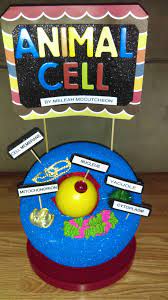 Since a animal cell does not have a wall, the __ _____ forms a barrier between the cytoplasm and the enviroment. Animal Cell With 5 Organelles 5th Grade Project Animal Cell Project Animal Cell Cells Project