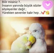 Gonul Alptekin Adli Kullanicinin Guzel Soz Panosundaki Pin 2020 Guzel Soz Canta