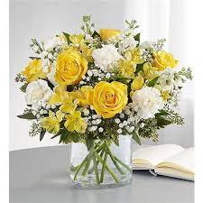 Estimated population from 1830 to 2100. New Haven In Same Day Same Day Flower Delivery Delivery Send A Gift Today Forever Friends Floral