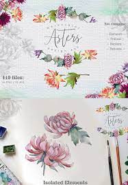 Watercolor Asters Png Design Set Illustration 74071 Flower Illustration Flower Logo Aster Tattoo