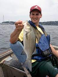 Catching Big White Bass At Night Fishing Decals Bass Fishing Bass