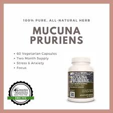 Image result for Mucuna pruriens