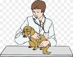 We strive to keep you and your pets at ease by coming to you in our fully equipped mobile clinic, making it possible to treat them just. Vet Png Images Pngwing