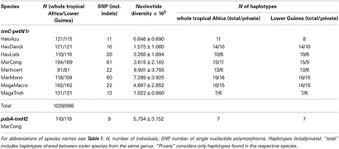 Image result for Halopegia azurea