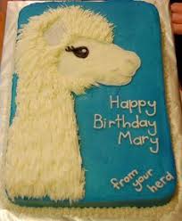 Maxine funny birthday cakes birthday cake for mom birthday cake messages. 42 Birthday Cake Messages Ideas Birthday Cake Messages Birthday Funny Cake