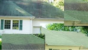 Can reroofing be done over wet shingles. Roof Fungus Different Types And How To Deal With Them Beneficial Roofing Voted Best Roofing Company Call Us Today See Why