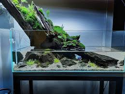Beautiful Scape Just A Reminder We Carry Freshwater Items Too A Lot Of It Is On Sale Link In Bio Repos In 2020 Aquascape Nature Aquarium Aquascape Aquarium