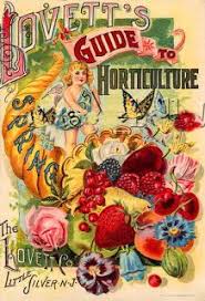 Invocando La Primavera Ilustracion Clasica Dibujos Botanicos Etiquetas De Epoca