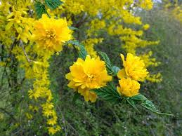 Aprilwetter Und Fruhlingsbilder Fruhling Bilder Fruhlingsbilder Fruhling