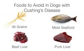 Treating Cushing S Disease In Dogs Diets Natural Remedies And Medicines In 2020 Cushing Disease Cushings Disease