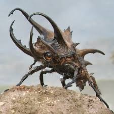 sam rowan on instagram giant dung beatle i did for fantasticbeasts 1 early sketches by the awesome ben kovar h sketches creature concept fantastic beasts