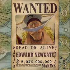 Top 10 Highest Bounties In One Piece One Piece