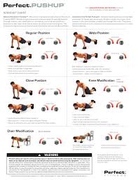 perfect pushup elite workouts