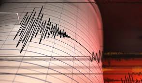 Елімізде ТЖМ жер сілкінісіне қатысты ресми мәлімдеме жасады
