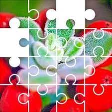 Play members only games like atari® 's breakout® and pong®. 220 Jigzone Ideas Daily Jigsaw Disney Puzzles Jigsaw Puzzles