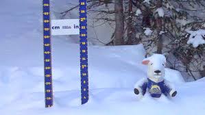 Vincent is feeling cozy under his...