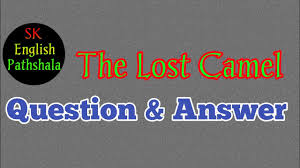 The man replied he had not. but was your camel blind in the right eye? The Lost Camel Question Answer The Lost Camel Class 7 Class 8 Lesson 5 The Lost Camel Class 7 Hindi Youtube