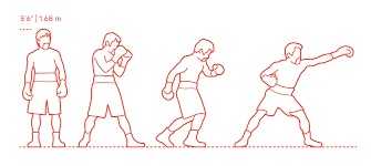 Manny pacquiao one of the most effective fighters that have appeared in the spotlight in recent years. Manny Pacquiao Dimensions Drawings Dimensions Com