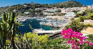 Jun 20, 2021 · il sindaco chiede di aprire questi concorsi anche per l'isola di ustica che si troverebbe sprovvista di un servizio antincendio. Ustica Island Evasioni Blu Diving