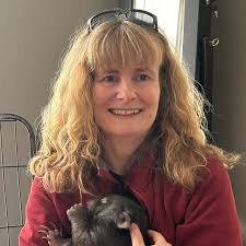 Katja Gutwein (@wild_wombat_photography) • Instagram photos and videos