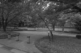 熊本女装スポット6選｜桃劇場・武蔵塚公園・ファンシードール・雁回公園など - mevy