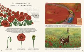 ¡el rojo es un color muy enérgico! Con Calma 50 Historias De La Naturaleza Spanish Edition Williams Rachel Hartas Freya De Los Santos Domingo Diego 9788417749590 Amazon Com Books