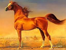 يرمز الخيل في دولة الامارات العربية المتحدة إلى الأصالة والعراقة العربية، وتكاد رياضة ركوب الخيل أن تكون جزءاً لا يتجزأ من الثقافة العربية عامةً أول المراكز في قائمة مراكز تعليم ركوب الخيل في دبي هو مركز الإمارات للفروسية الذي يعتبر من أشهر نوادي الفروسية في دبي. Ø±ÙŠØ§Ø¶Ø© Ø±ÙƒÙˆØ¨ Ø§Ù„Ø®ÙŠÙ„ Ø³Ø¹ÙˆØ¯ÙŠ Ø¨ÙŠÙ†Ø¬