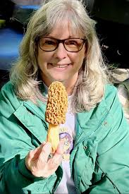 Harvesting Golden Mushrooms in the Woods