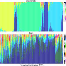 But turn out to be barn owls. Pdf Comparative Analyses Of Vertebrate Gut Microbiomes Reveal Convergence Between Birds And Bats