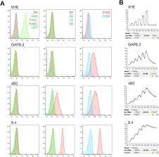 Secreted as part of the adaptive immune response by plasma b cells, immunoglobulin g constitutes 75% of serum immunoglobulins. Discovery And Characterization Of Llama Vhh Targeting The Ro Form Of Human Cd45 Biorxiv