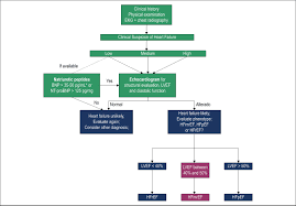 Heart Failure With Mid Range Ejection Fraction State Of